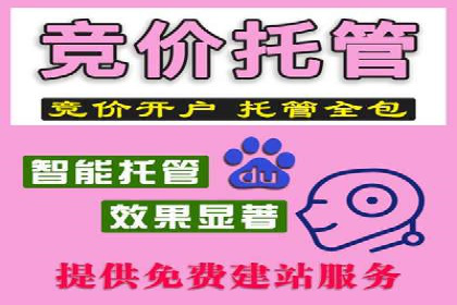 谷歌SEM案例研究：如何应对竞争对手